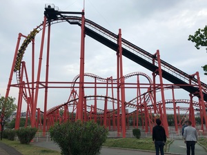 IMG_0855.jpg